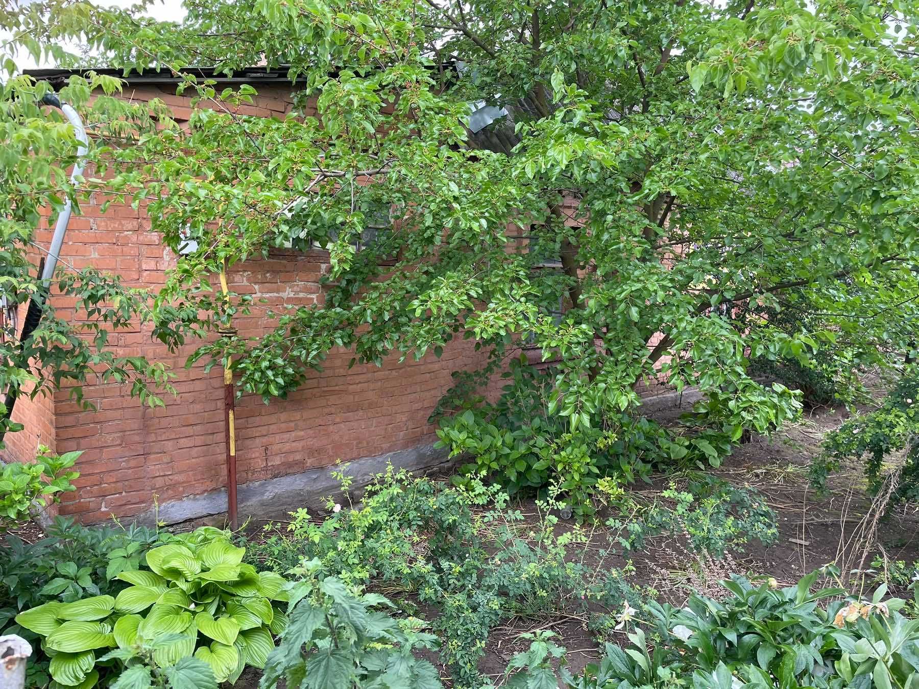 (5)   Продам земельну ділянку на Ближньому Старому Місті 4624