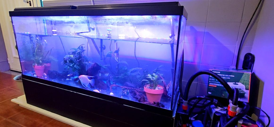 Aquário completo 150 litros