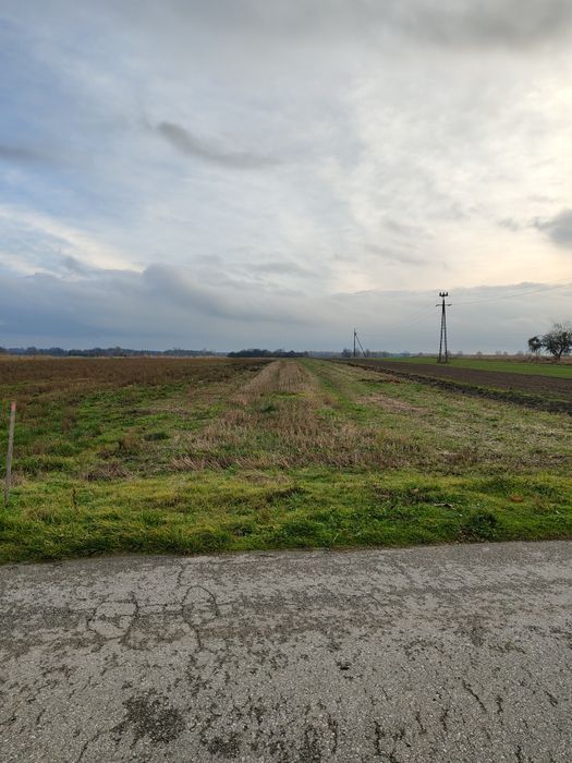 Działka budowlana w miejscowości Wygoda