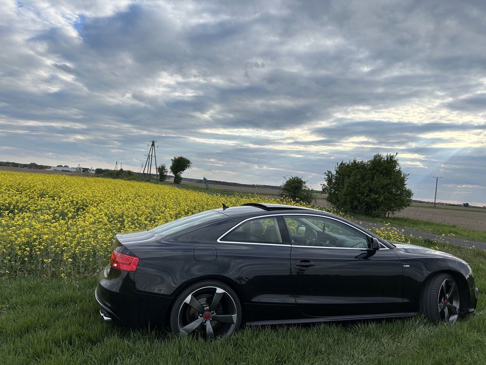 A5 coupe 2015r. V6 tdi rieger