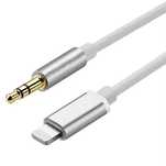 AUX apple lightning