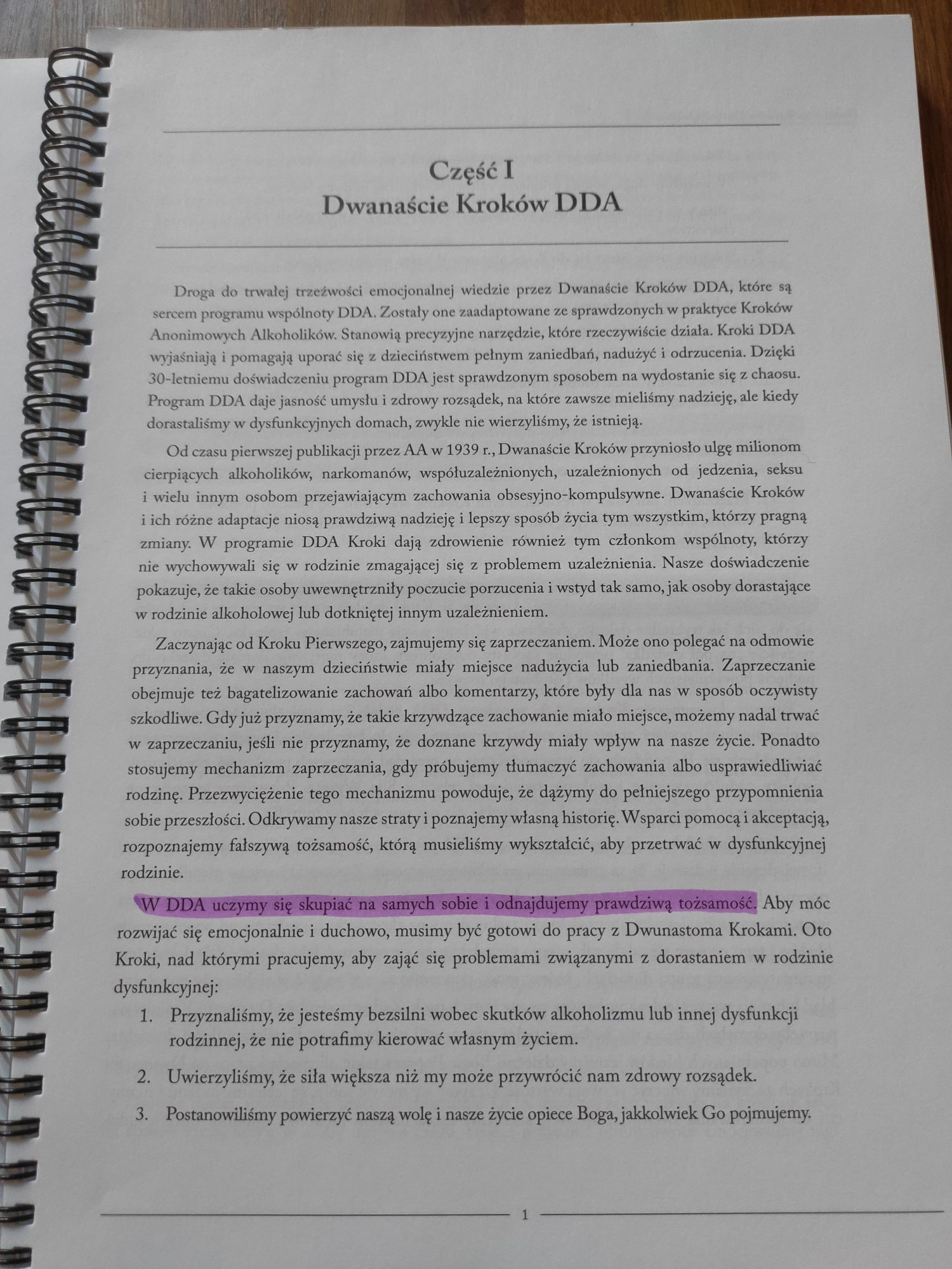Dwanaście Kroków Dorosłych Dzieci - podręcznik do pracy DDA/DDD