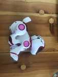 interaktywny pies-robot Teksta Robotic Puppy