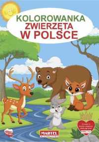 Kolorowanka Zwierzęta w Polsce - praca zbiorowa