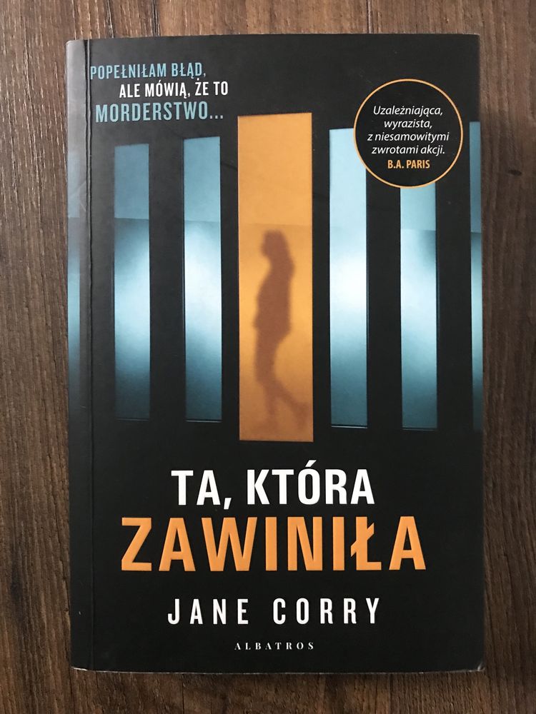 Książka "Ta, która zawiniła" Jane Corry