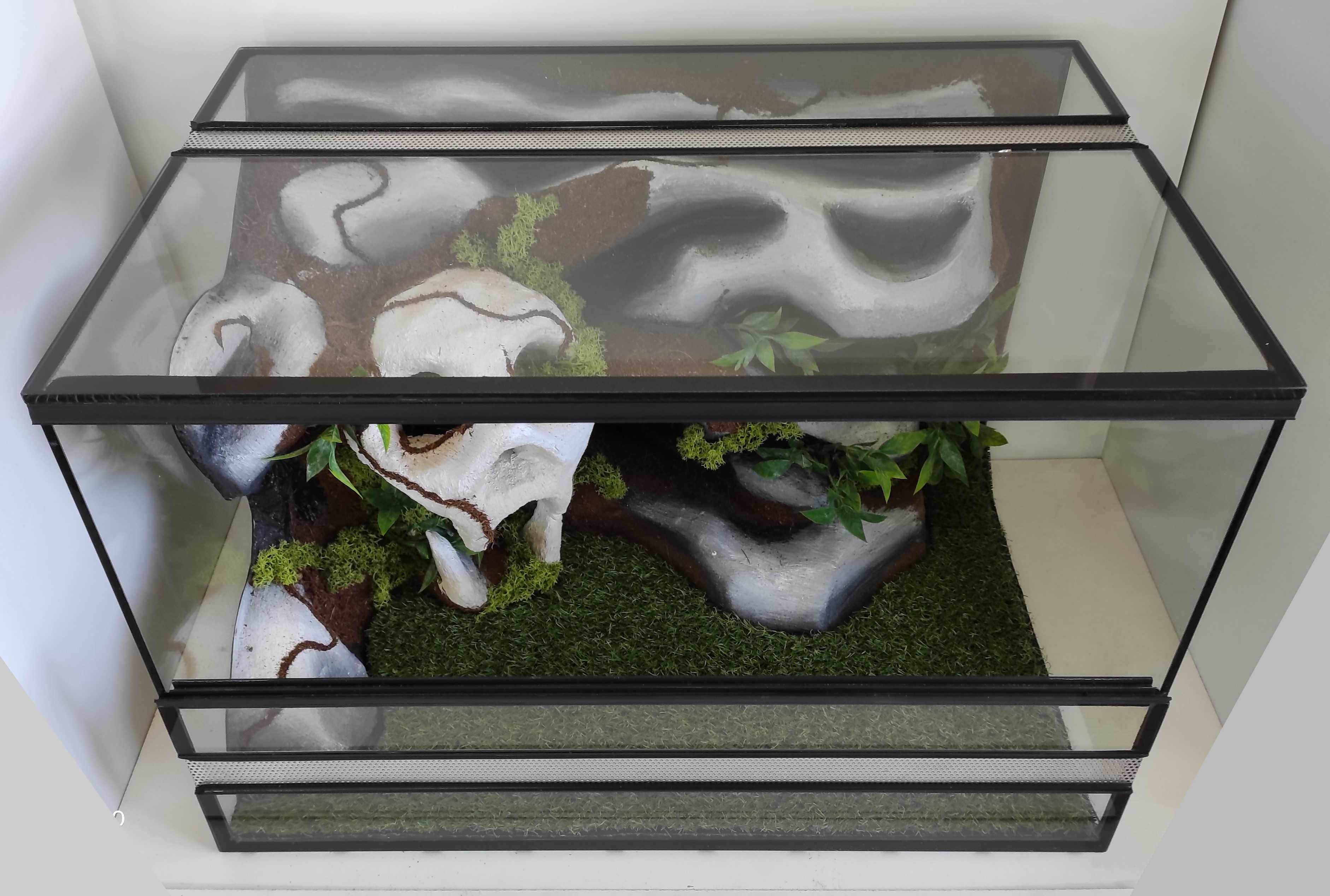 Terrarium dla gekona lamparciego z czaszką, TW10Cz, AquaWaves