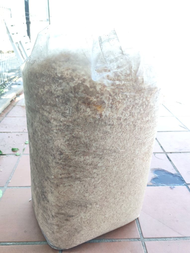 Saco de Serrim - Aparas de Madeira (15 Kg)