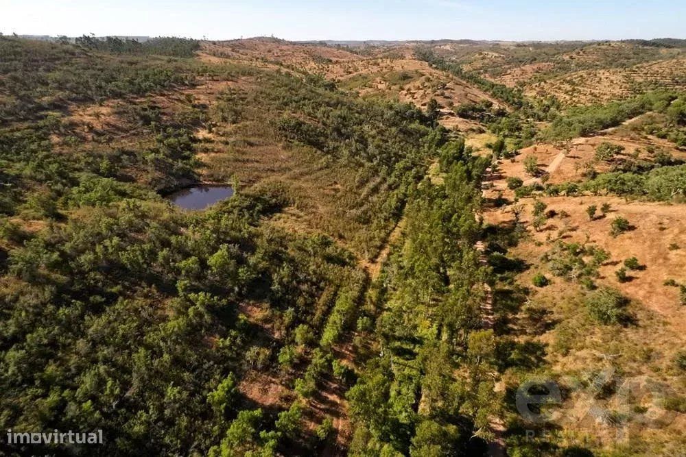 Excecional Herdade de 65 hectares no Alentejo com potencial de desenvo