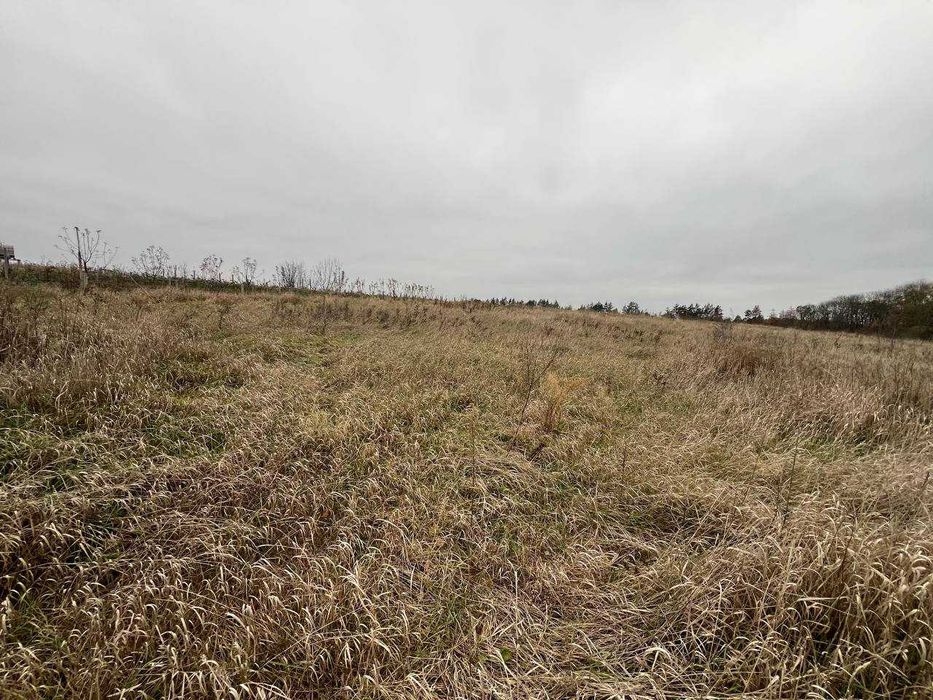 Ділянка під житлову забудову поруч з Бугом