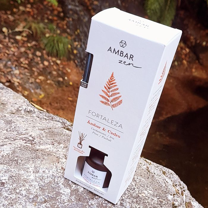 Mikado Fortaleza – Âmbar & Cedro (40ml)