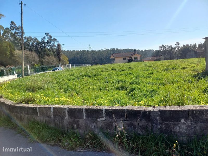 Terreno Rústico em São Martinho da Gândara, Oliveira de Azeméis
