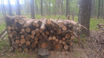 Drewno, gałęzie, wałki