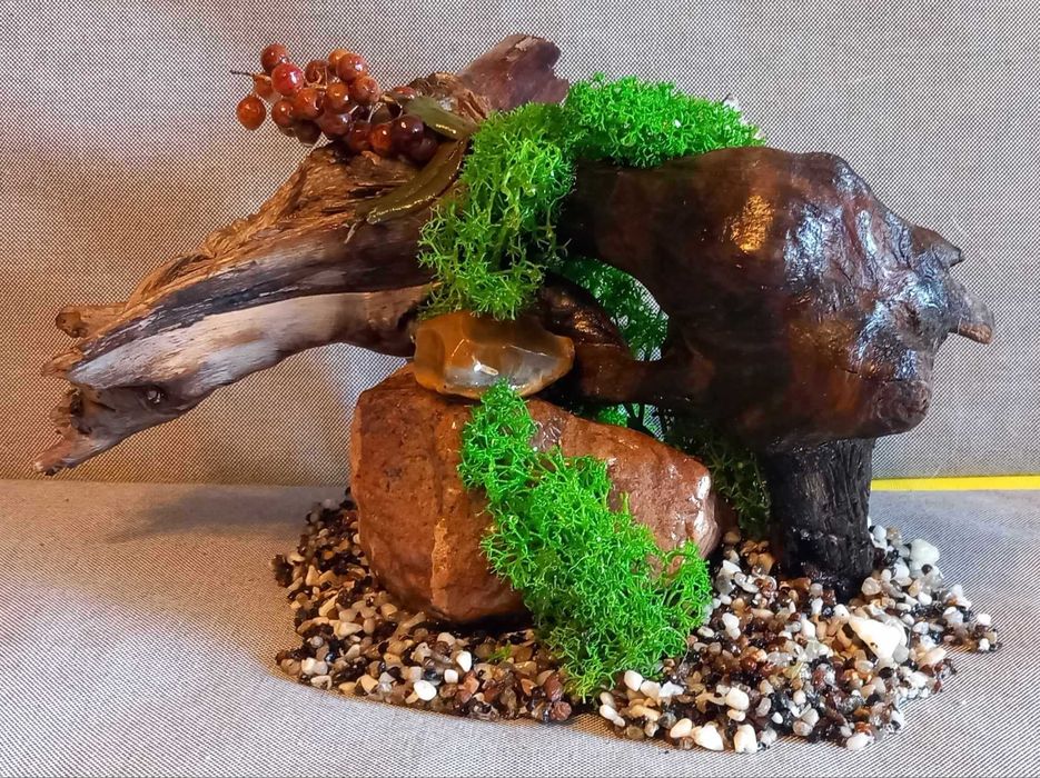 Ozdoba do akwarium – korzeń z mchem