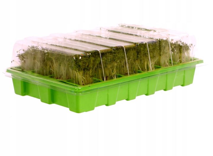 Mini Szklarnia Inspekt Do Kiełkowania Kiełkownik Rozsada 24 Komóry 5x5