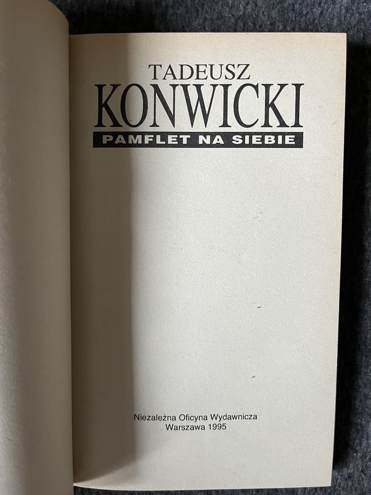 Tadeusz Konwicki - Dziura w niebie, Pamflet na siebie