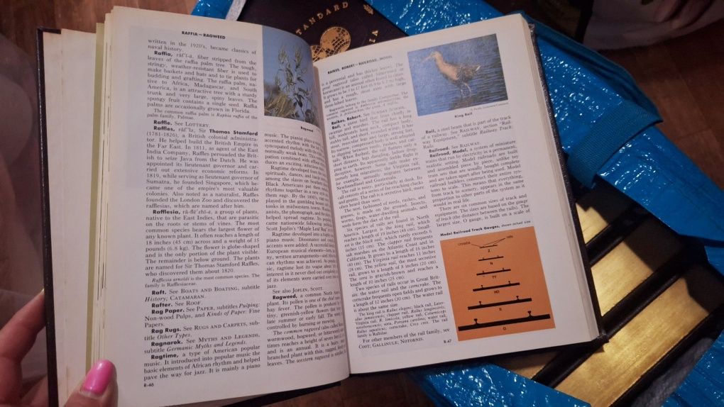 The New Standard Encylopedia