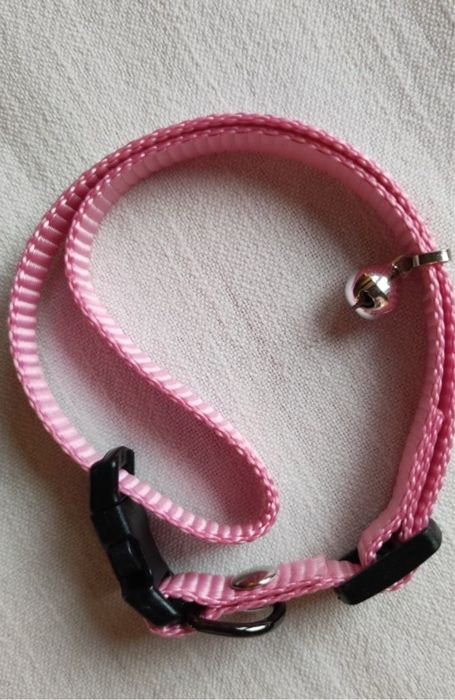 Obroża dla psa mała