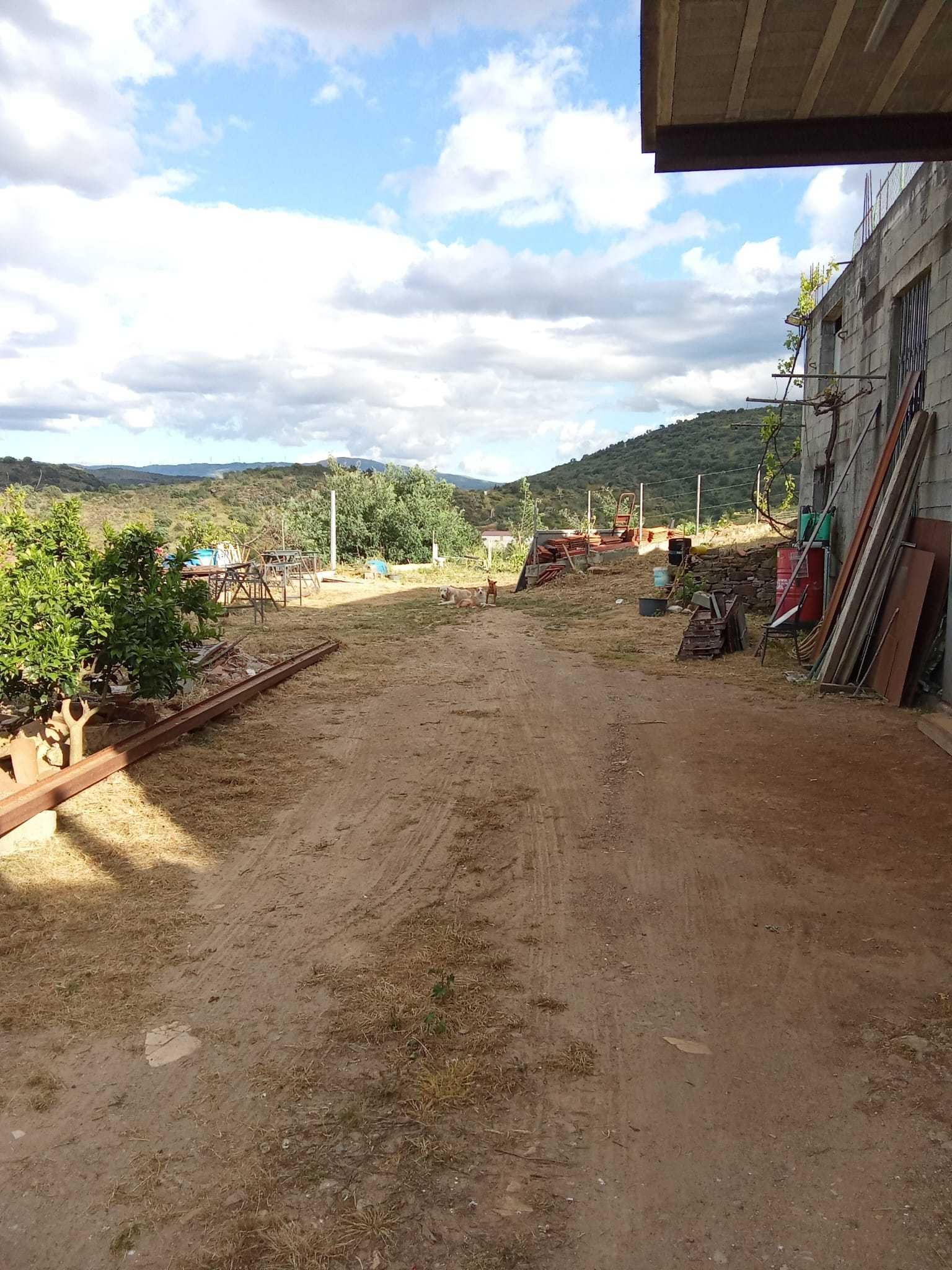Terreno para construção a 5km de Mirandela.