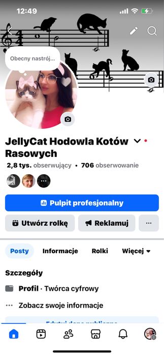 Ragdoll kocurek, rodowod FPL.