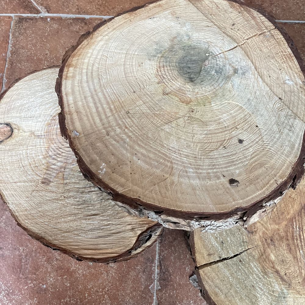Bolachas de madeira em PINHO NATURAL