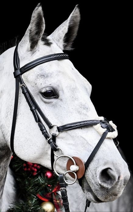 Ogłowie mexican czarny, Covalliero COB