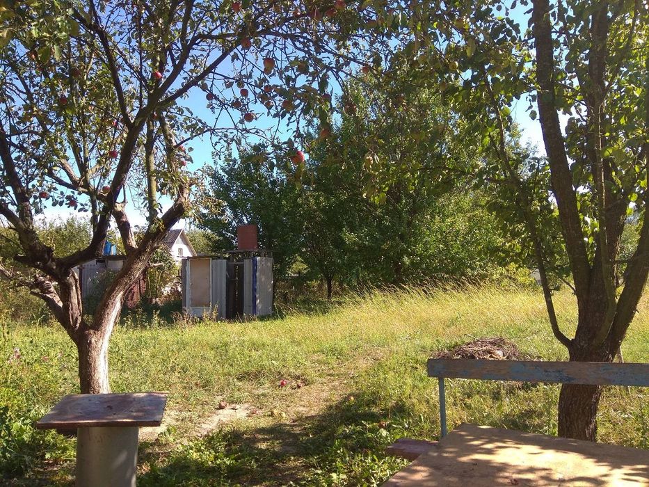 Продажа дачного участка