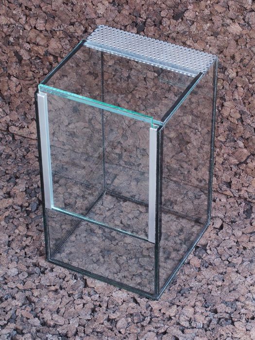 AM AMAZOONIA Terrarium 15x15x25 cm dla pająka modliszki straszyków