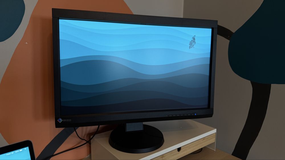 Monitor graficzny EIZO CS230 23” wysyłka, działa, bez wypalonych