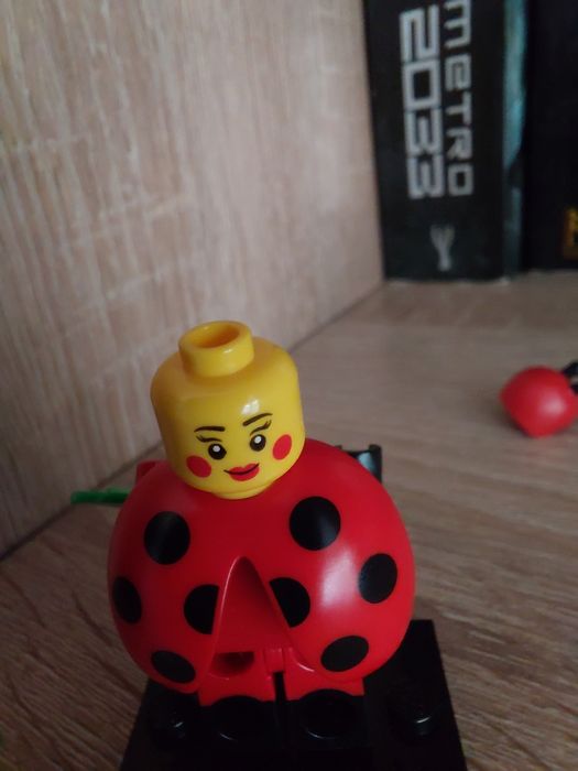 LEGO figurka Biedronka seria 21