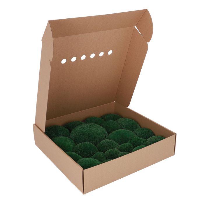 Стабілізований Мох Кочка