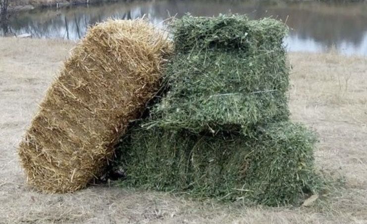 Продам сіно та солому