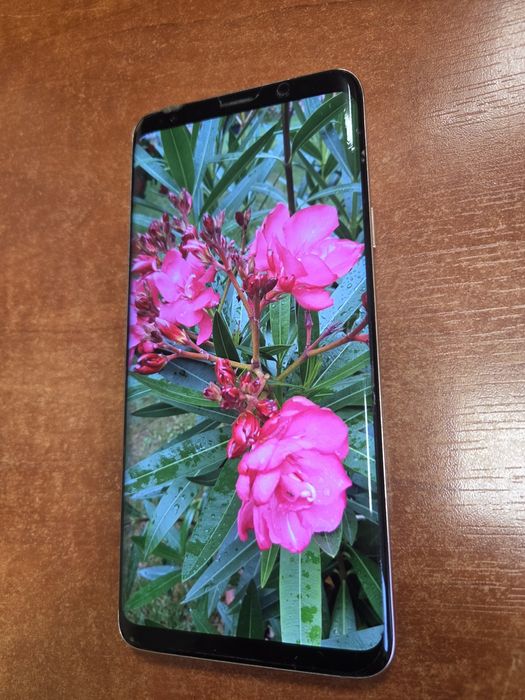 Samsung s9 plus złoty _256 GB