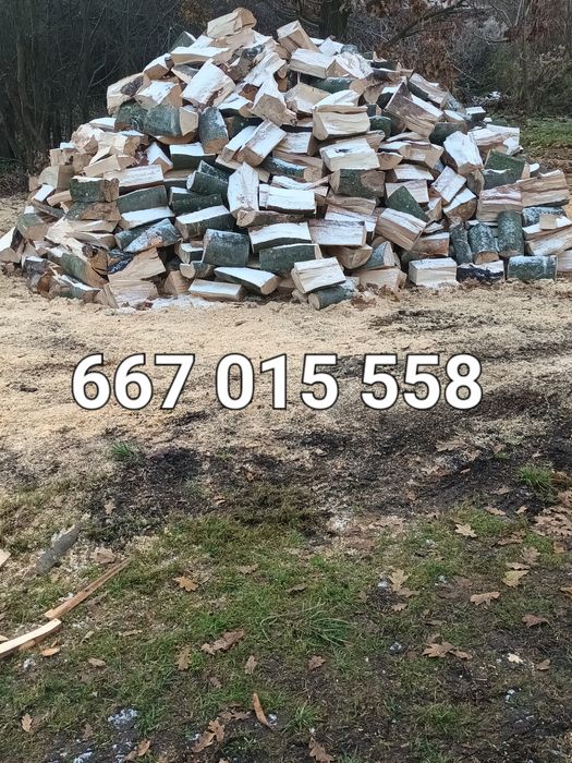 Drewno opałowe i kominkowe