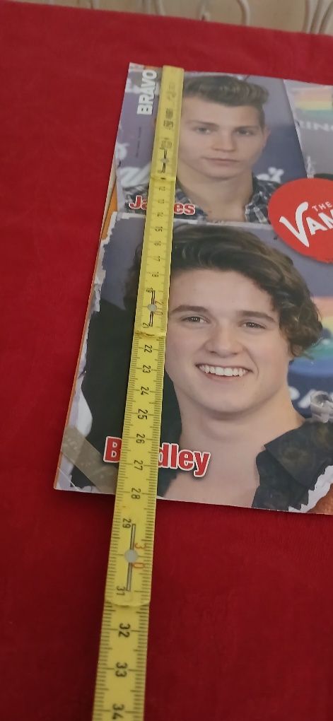 Poster The Vamps/Little Mix