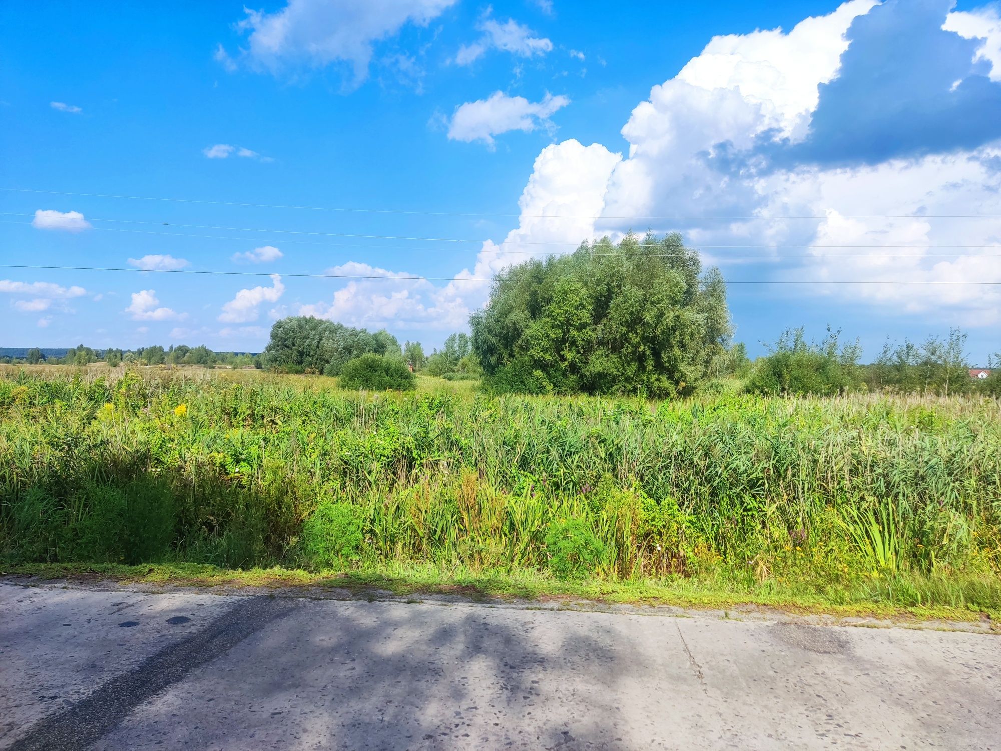 Продам фасадный участок ділянка с Вишенки 15 сот 12000 у.е.  рядом Осо