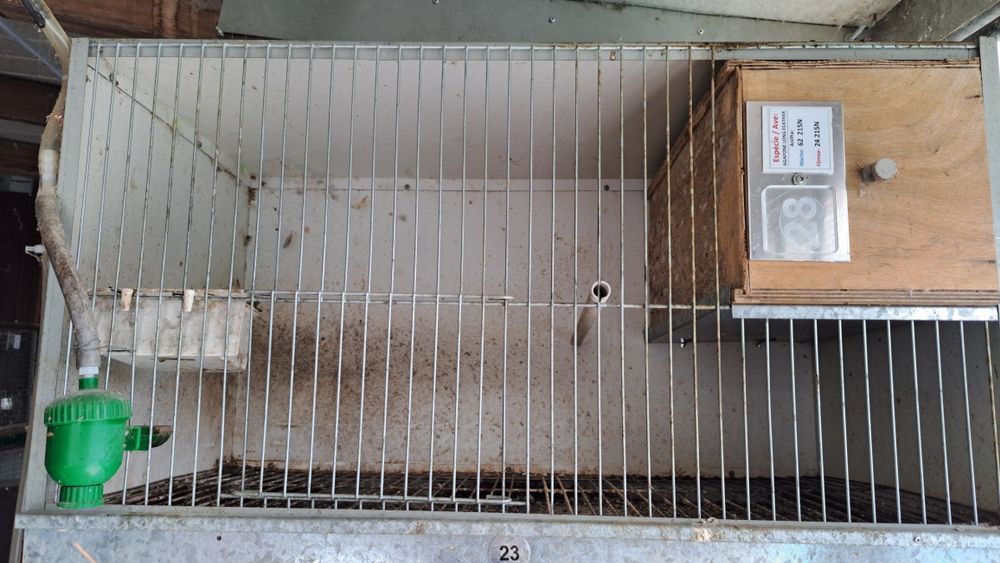 Viveiro de criação aves