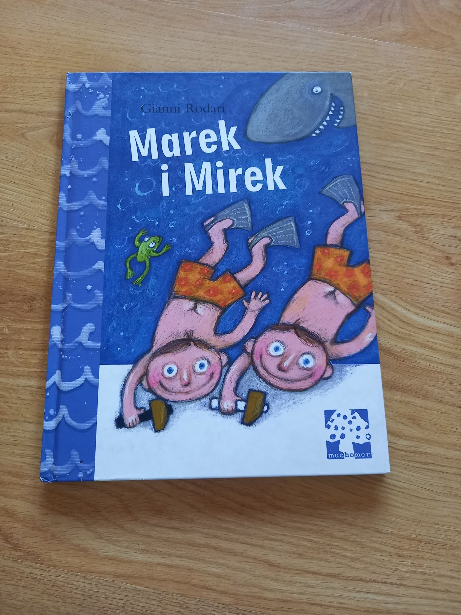 Marek i Mirek książka dla dzieci