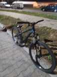 rama sereyjana kands colt 26