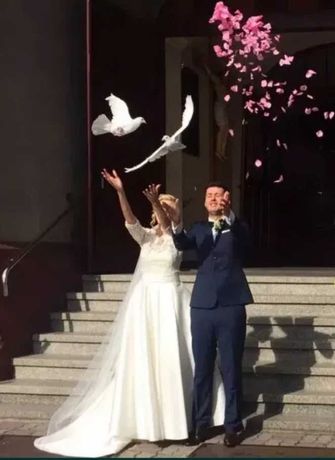 Białe Gołębie Gołąbki Na Ślub.