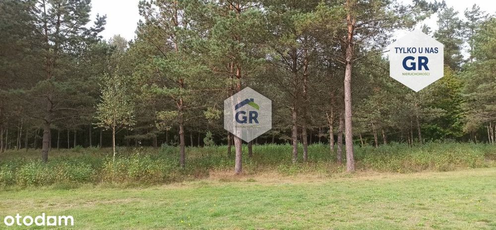 Działka w Kłobuczynie // Kaszuby // blisko lasu