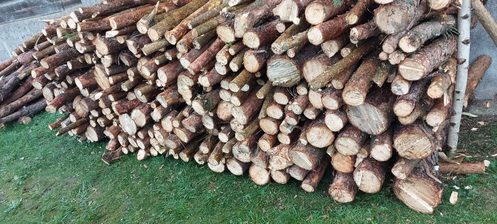 Drzewo sosnowe surowe