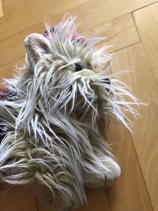 Maskotka piesek York, ze Szkocji