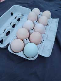 Wiejskie jajeczka
