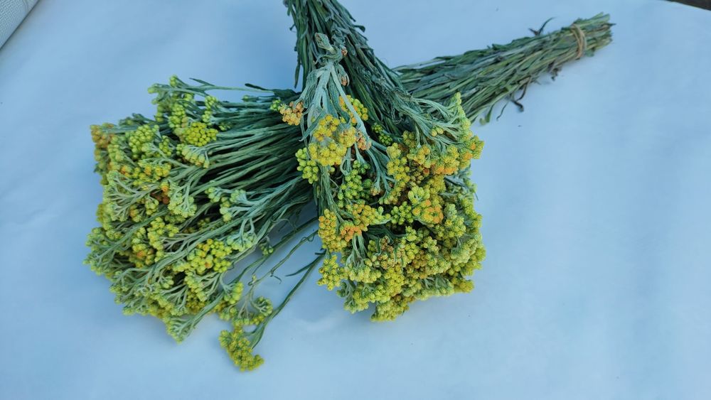 Віники для бані(лазні)+ Віники з лікарських трав (10 видів)