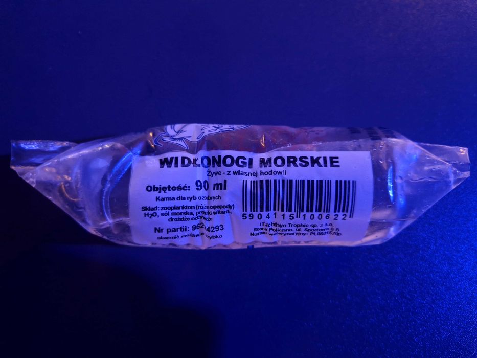 Widłonogi Żywy Pokarm do Akwarium Morskiego Akwarystyka Morska Poznań