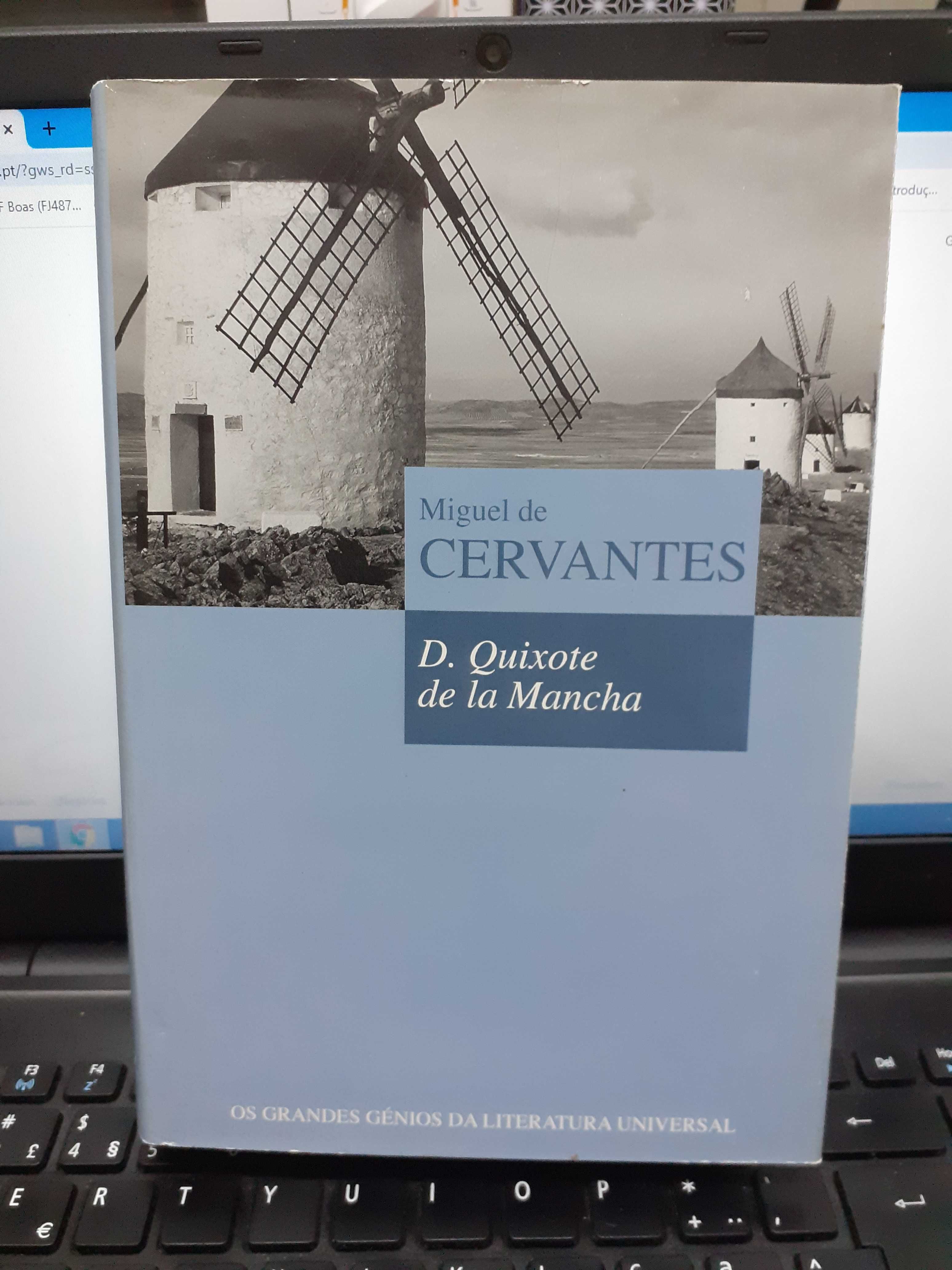D. Quixote de La Mancha