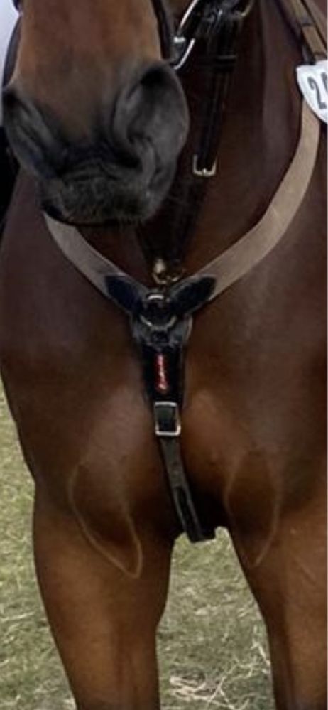 Napiersnik Equipe