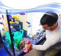 Ремонт и сервисное обслуживание аквариумов, чистка