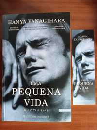 Livro Uma pequena vida Hanya Yanagihara