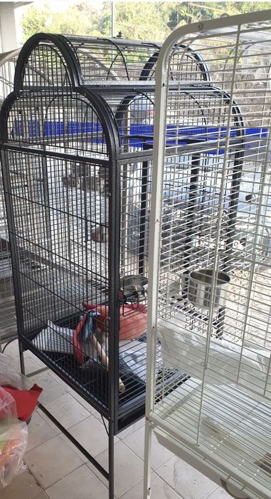 Diversas Gaiolas em loja